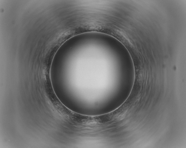 X0000088710643200705311359