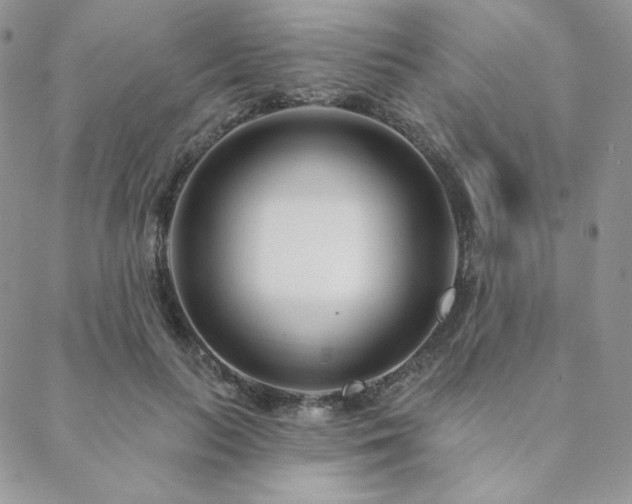 X0000088710647200705311359