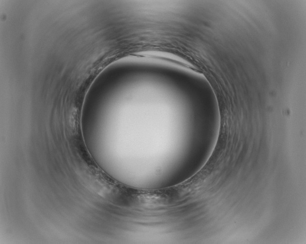 X0000088710650200705311359