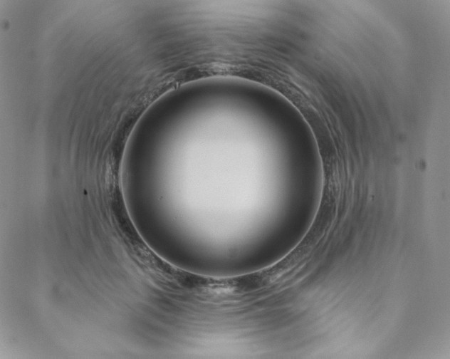 X0000088710651200705311359