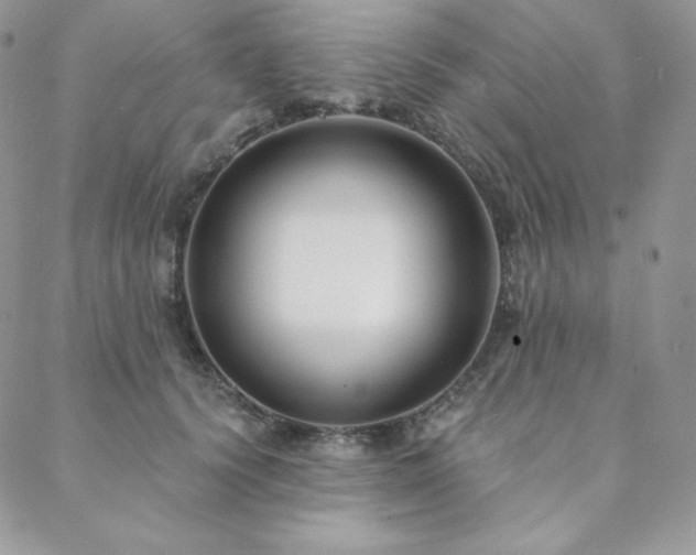 X0000088710656200705311359