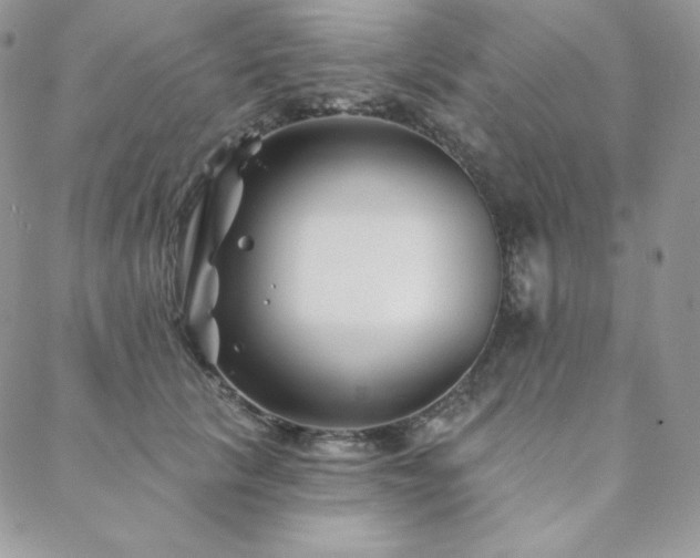 X0000088710657200705311359