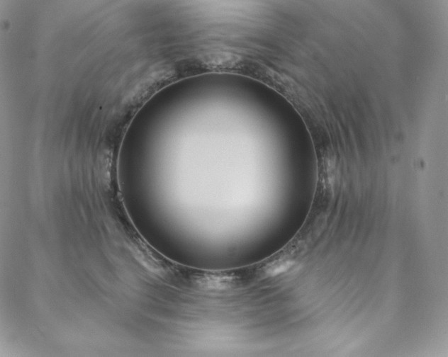 X0000088710664200705311359
