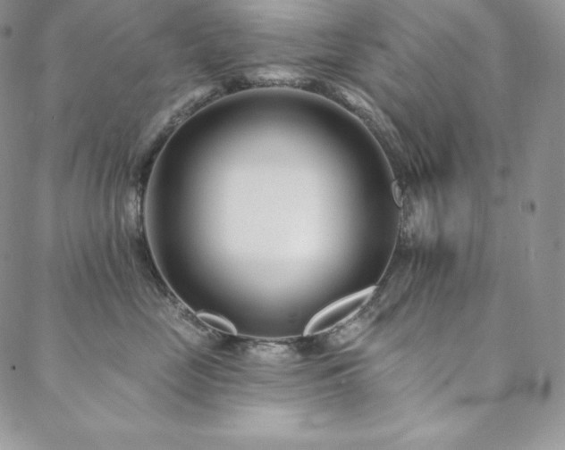 X0000088710669200705311359