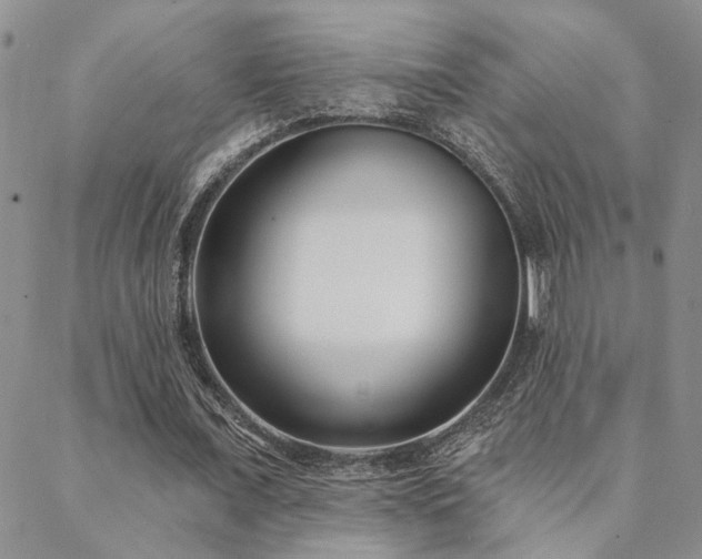 X0000088710675200705311358