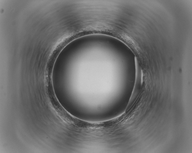 X0000088710680200705311358