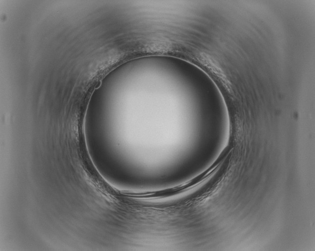 X0000088710681200705311358