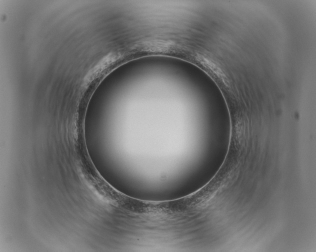 X0000088710682200705311358