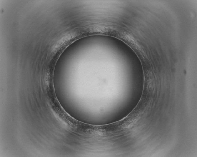 X0000088710683200705311358