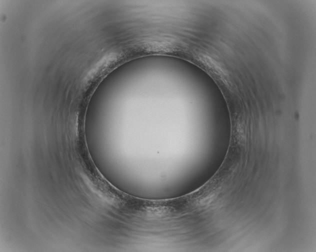 X0000088710686200705311358