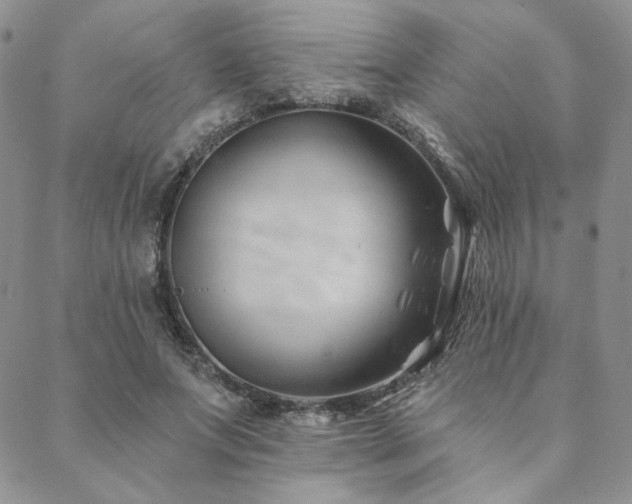X0000088710687200705311358