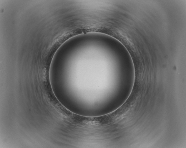 X0000088710689200705311358