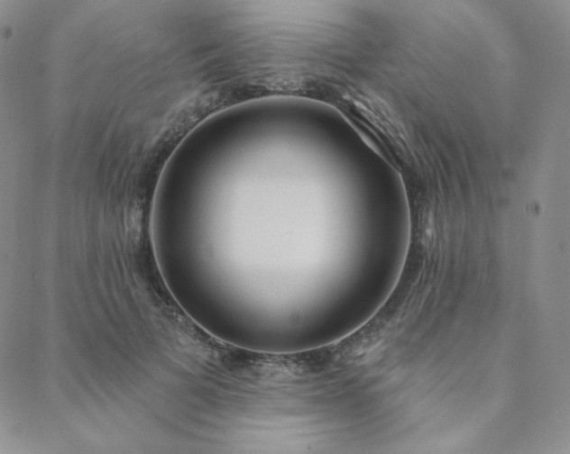X0000088710697200705311358