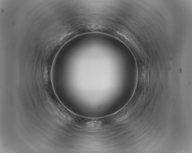 X0000088710700200705311358