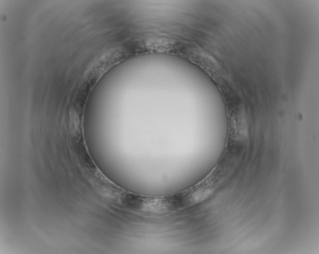 X0000088710705200705311358