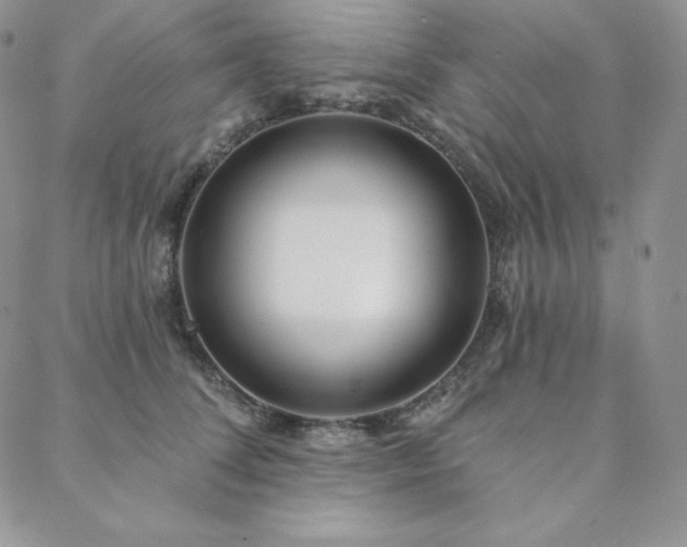 X0000088710708200705311358