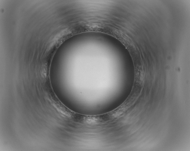 X0000088710710200705311358