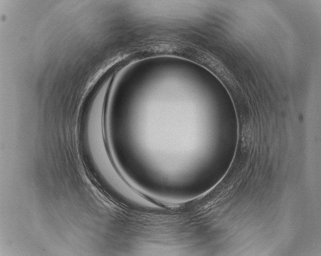 X0000088710722200705311357