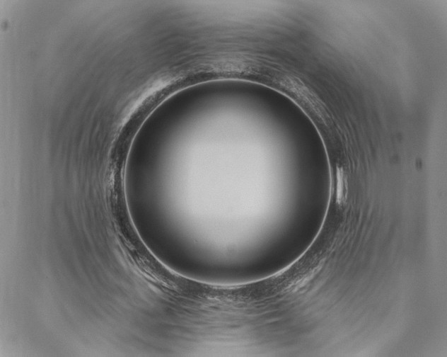 X0000088710723200705311357