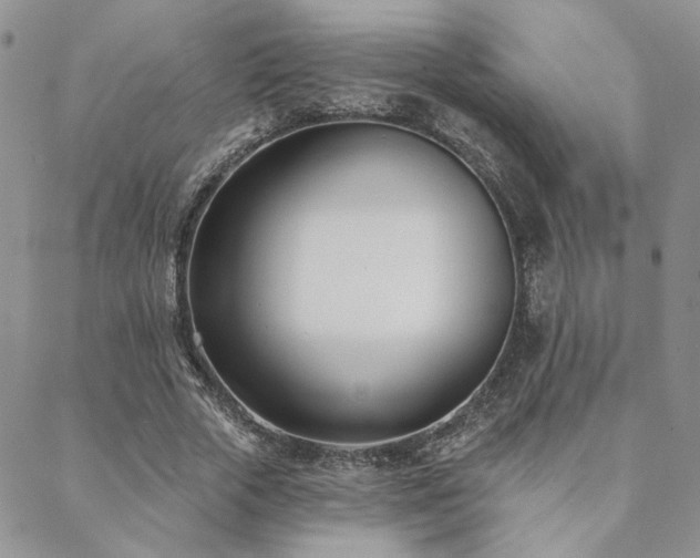 X0000088710729200705311357