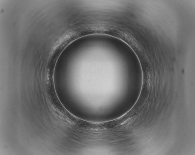 X0000088710731200705311357