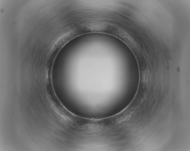 X0000088710733200705311357