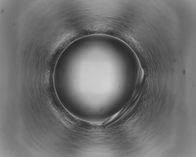 X0000088710735200705311357