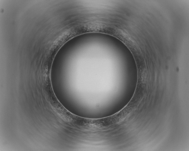 X0000088710737200705311357