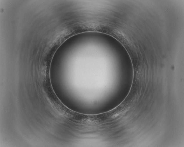 X0000088710739200705311357