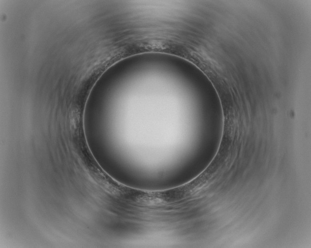 X0000088710747200705311357