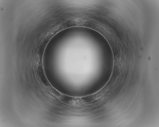 X0000088710752200705311357