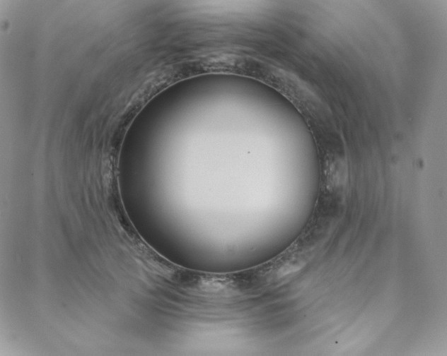 X0000088710753200705311357