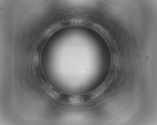 X0000088710761200705311357