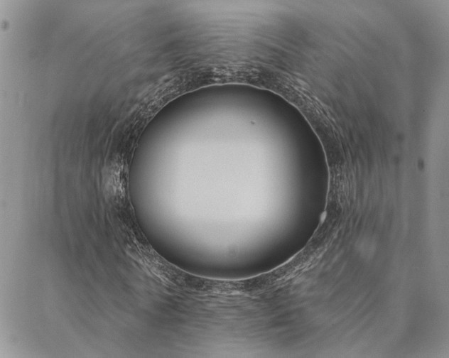 X0000088710770200705311357