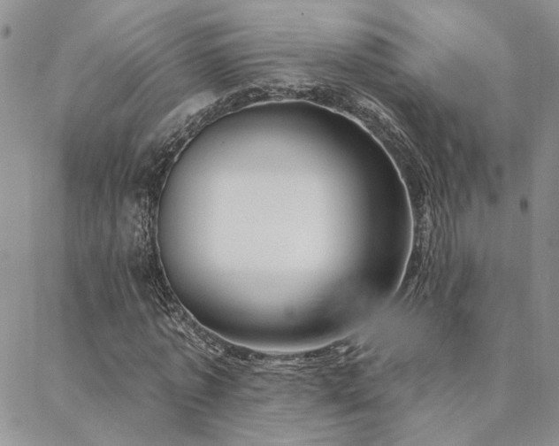 X0000088710773200705311357
