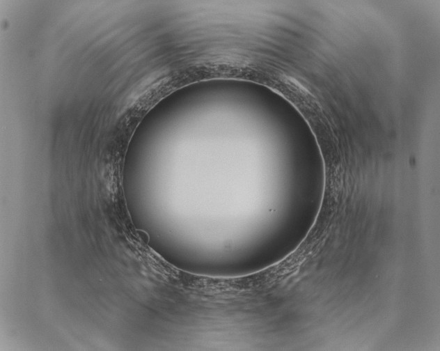 X0000088710774200705311357