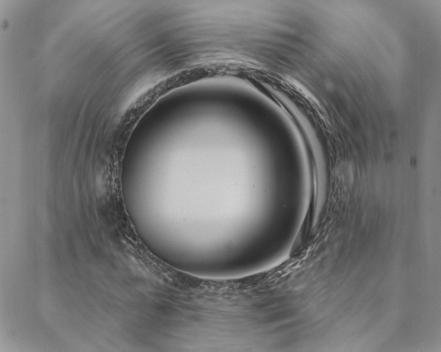 X0000088710775200705311357