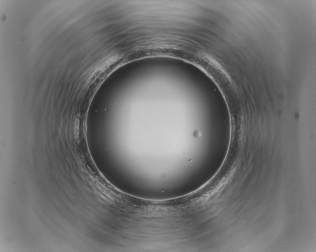 X0000088710777200705311357