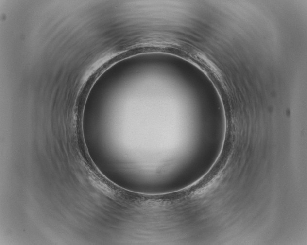 X0000088710779200705311357