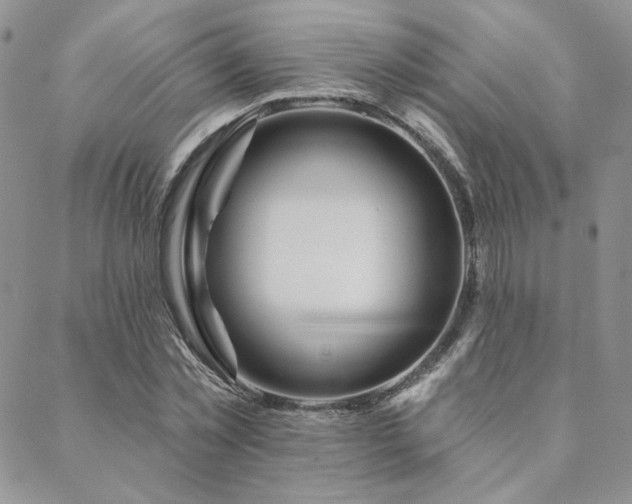 X0000088710781200705311357