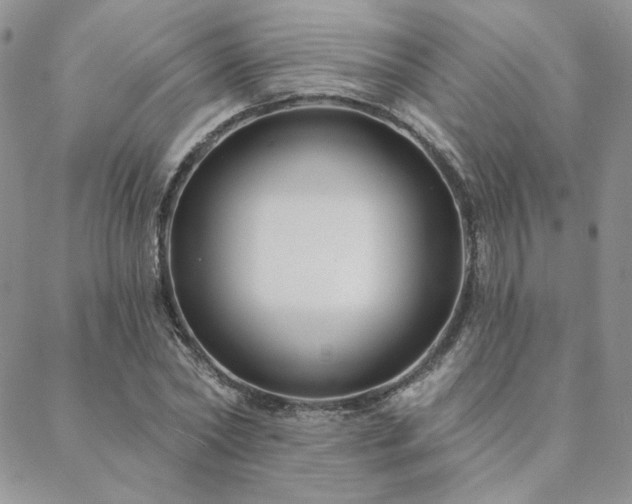 X0000088710782200705311357