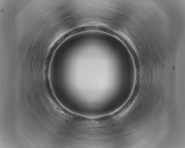 X0000088710783200705311357