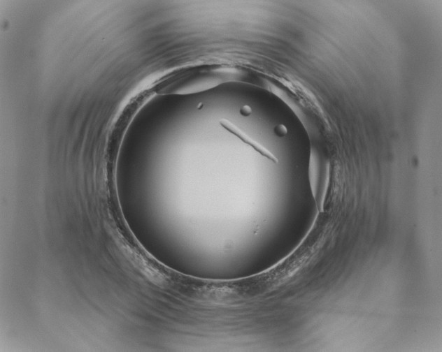 X0000088710784200705311356