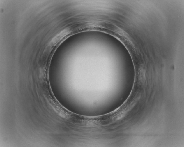 X0000088710785200705311356