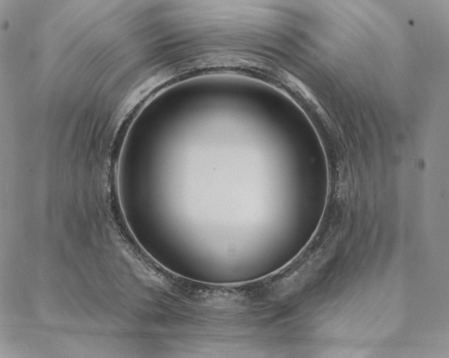 X0000088710786200705311356