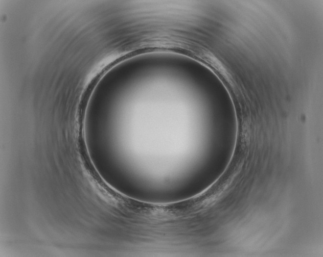 X0000088710787200705311356