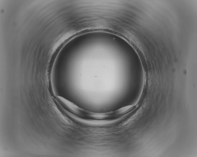 X0000088710789200705311356