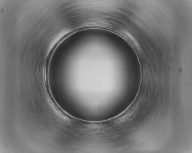 X0000088710796200705311356