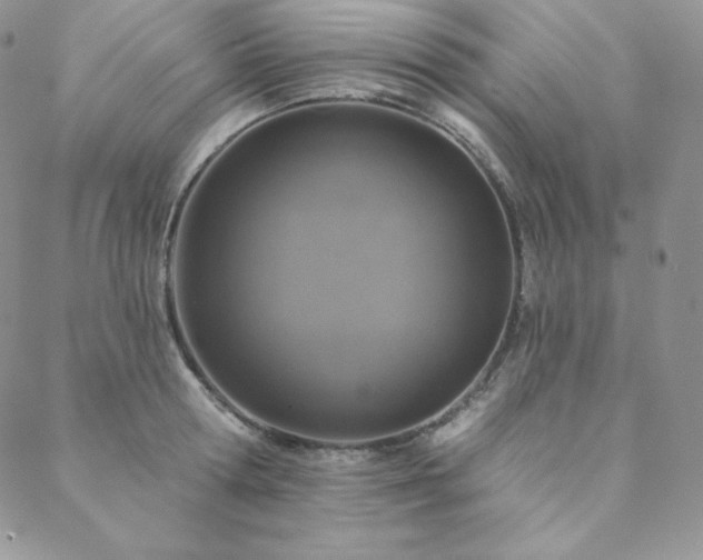 X0000088710802200705311356