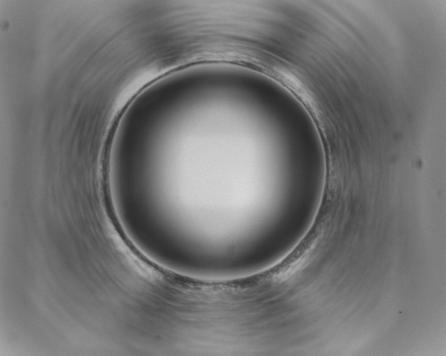 X0000088710803200705311356